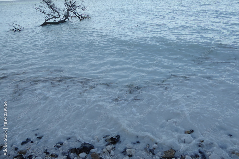 Fototapeta premium Møns Klint, Kreidefelsen, Klippen in Dänemark
