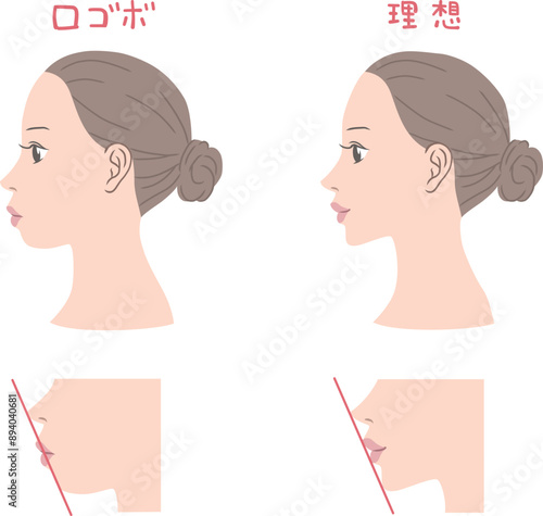 横顔の女性のイラスト