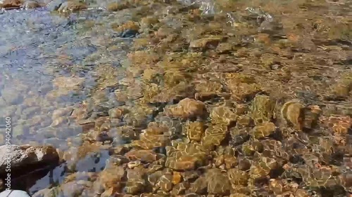 River water flow in the morning. Dry leaves drifting in the river. Nature concept.