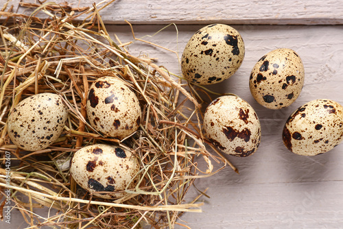 Nest with fresh quail eggs on grey wooden background
