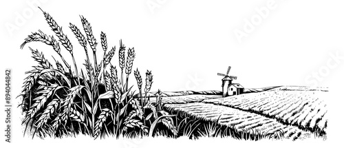 wheat field engraving black and white outline