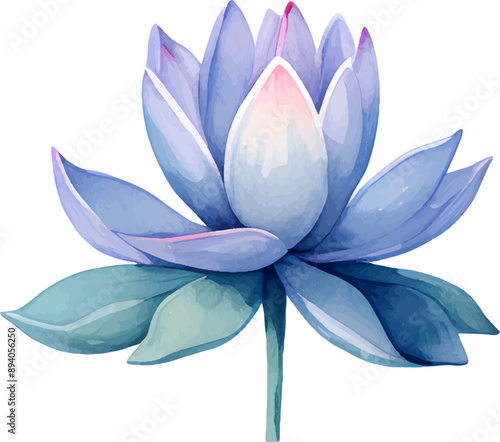 beautiful watercolor clipart lotus flower 