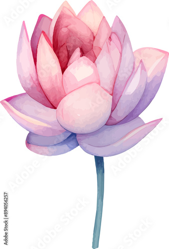 beautiful watercolor clipart lotus flower 