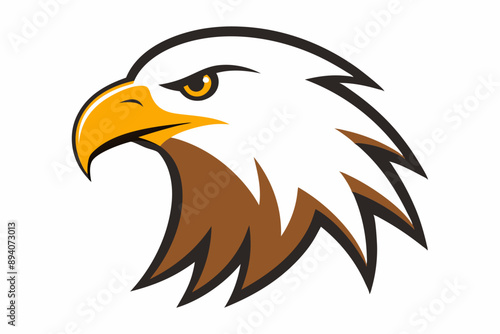 Eagle head illustration in high detail, perfect for branding, logos, and wildlife themes. photo