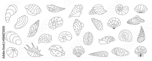 Detailed shells, coral, kelp in marine underwater setting. Ocean aquarium life, colorful seashells, isolated cute and vibrant elements. Starfish and clams also included.