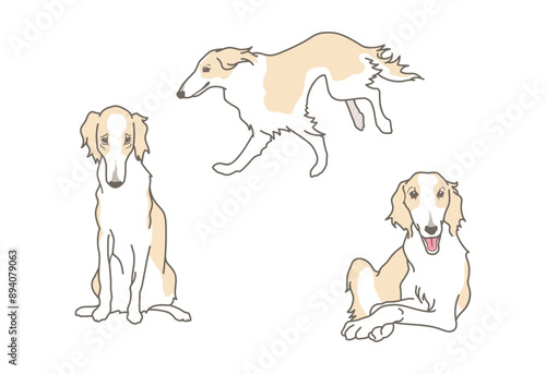 ボルゾイのシンプルなイラスト素材セット