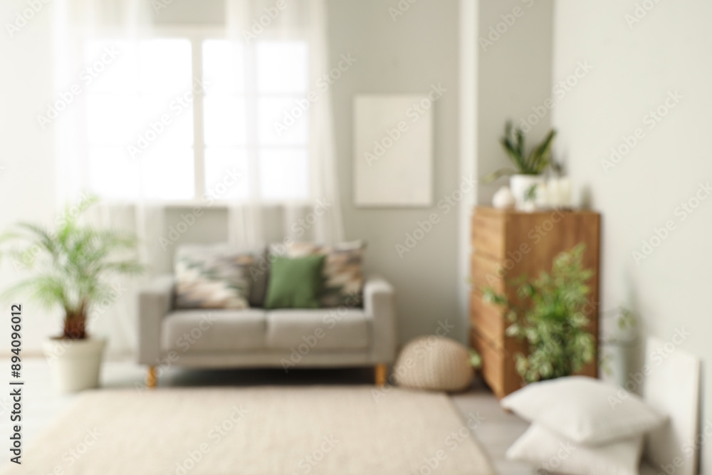 Blurred view of light living room with grey sofa, drawers and green plants Blurred view of light living room with grey sofa, drawers and green plants