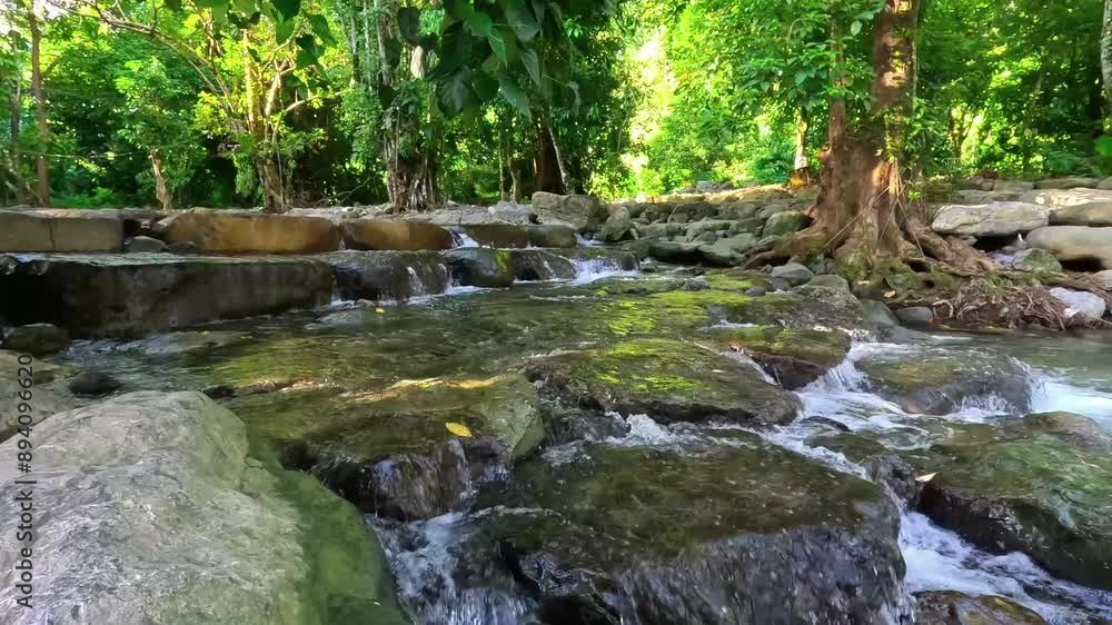 Clear green river in the forest. Humaira Bathing Pool. Morning natural atmosphere in Pudeng village, Aceh Besar Regency. Vacation, travel, holiday, and honeymoon concept. Clear green river in the forest. Humaira Bathing Pool. Morning natural atmosphere in Pudeng village, Aceh Besar Regency. Vacation, travel, holiday, and honeymoon concept.