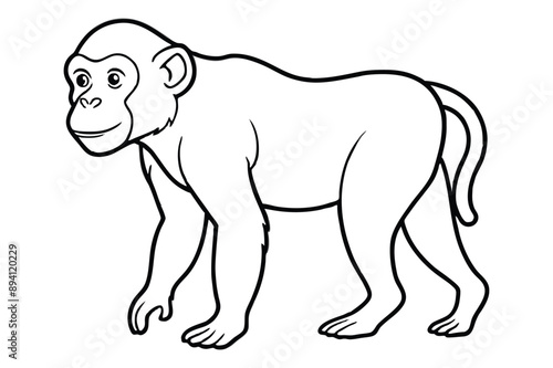 Gorillas Drawing Images line art vector design