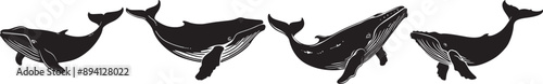 A collection of vector silhouettes featuring humpback whales in various poses, showcasing their majestic form.