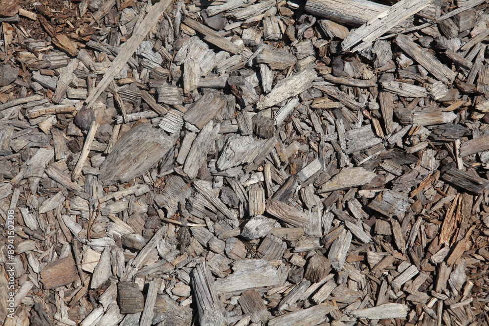 Natural tan bark background texture, tan and grey Natural tan bark background texture, tan and grey