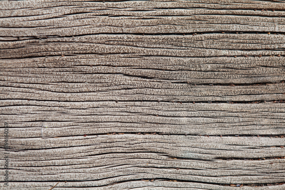 Tree wood background texture, Tahoe, California Tree wood background texture, Tahoe, California