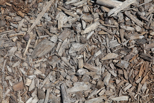 Natural tan bark background texture, tan and grey