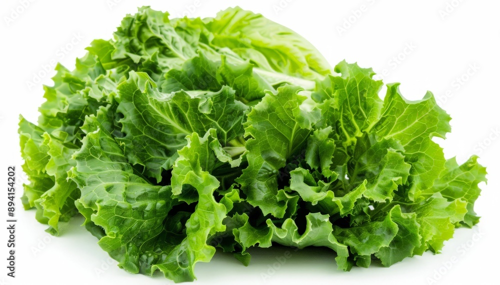 a fresh ripe lettuce on a white background a fresh ripe lettuce on a white background
