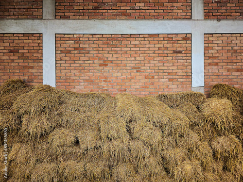 Haystack or straw. Mowing dry grass in a stack against a brick wall. Old town.