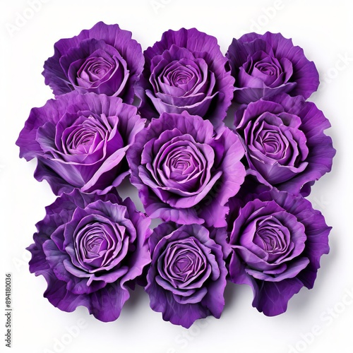 purple cabbage wedges arranged in a grid formation for a visuall photo