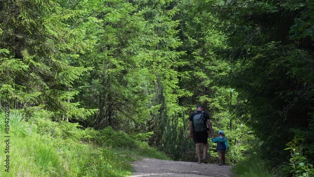 Man with son with backpacks walking in the forest. Father and boy going camping with tent in nature. High quality 4k footage Man with son with backpacks walking in the forest. Father and boy going camping with tent in nature. High quality 4k footage