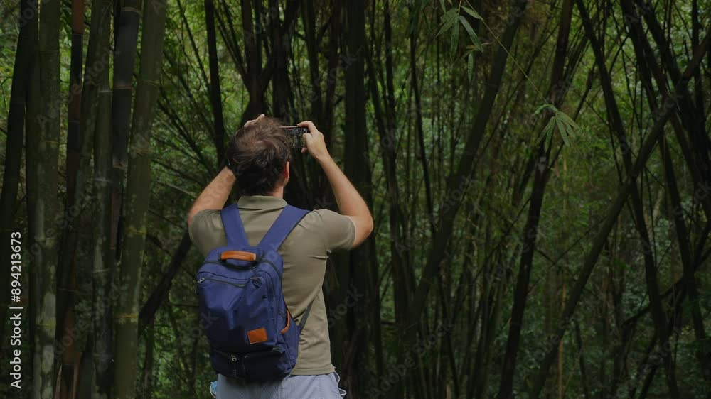 Man with backpack taking photos of bamboo forest, Outdoor Adventure and Nature Photography. Man with backpack taking photos of bamboo forest, Outdoor Adventure and Nature Photography.