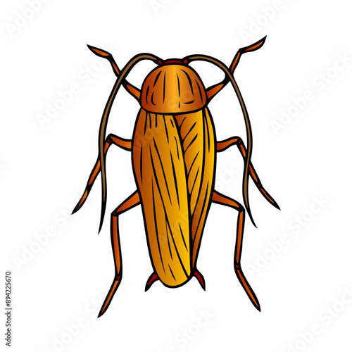 cockroach vector illustration