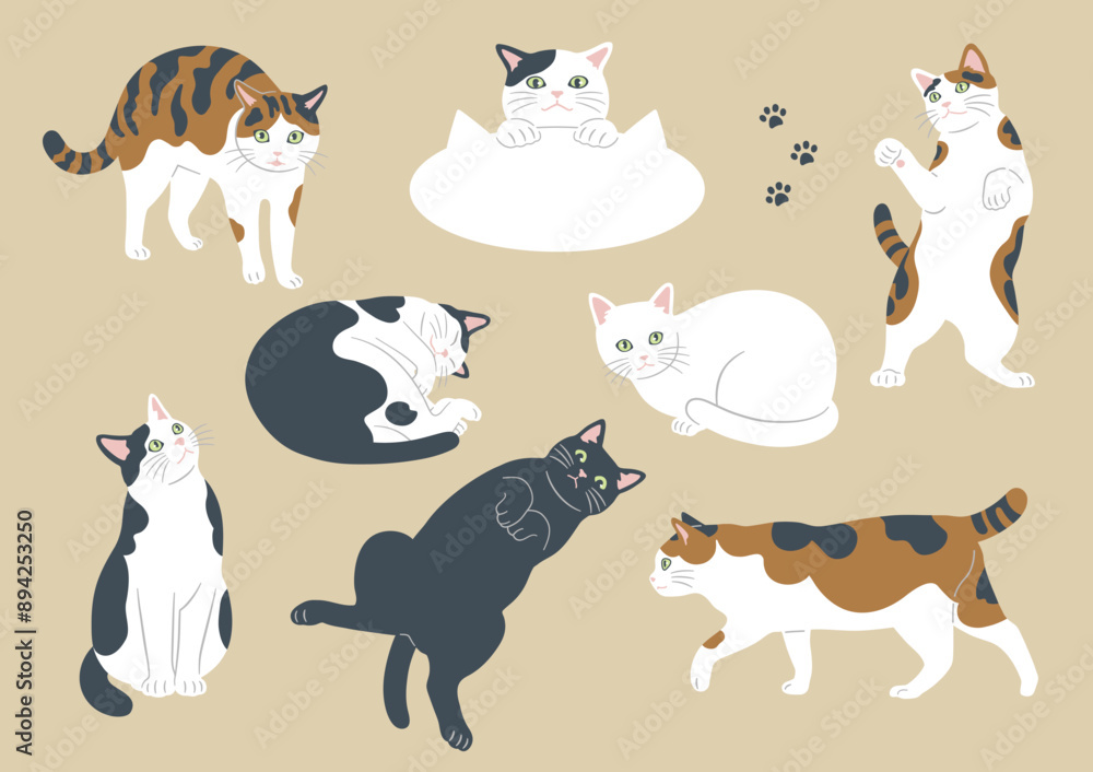 Fototapeta premium かわいい猫のいろいろな模様とポーズのイラスト