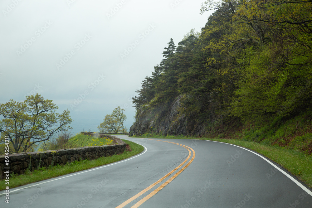 Fototapeta premium National Park lush green forest with a path in the month of May