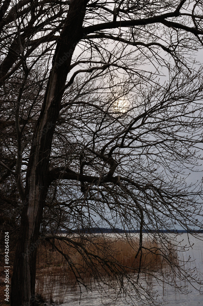 Stimmungsvolle Abendwanderung auf Usedom - Atmospheric evening hike on Usedom Stimmungsvolle Abendwanderung auf Usedom - Atmospheric evening hike on Usedom