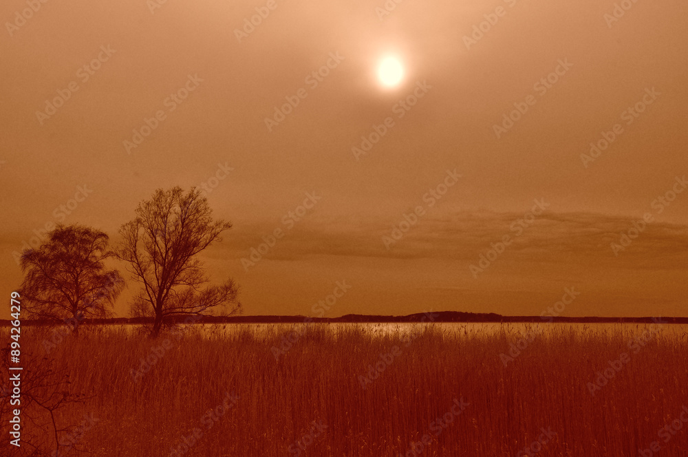 Naklejka premium Stimmungsvolle Abendwanderung auf Usedom - Atmospheric evening hike on Usedom