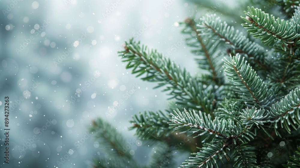 Christmas background with a close-up view of a beautiful green pine tree branch. There is empty space around for you to add your own message. Christmas background with a close-up view of a beautiful green pine tree branch. There is empty space around for you to add your own message.