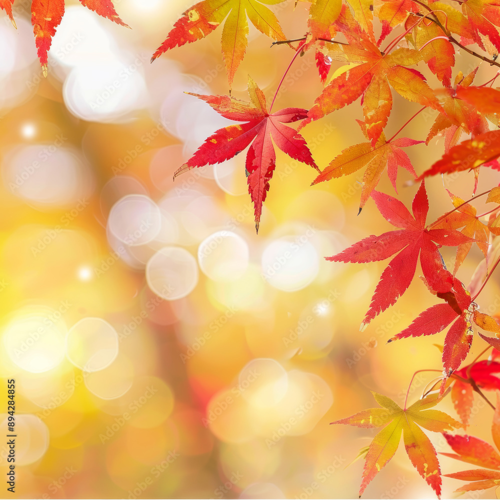 Design a fall web banner with red and yellow maple leaves and a soft focus light and bokeh background for end-of-year activities. Design a fall web banner with red and yellow maple leaves and a soft focus light and bokeh background for end-of-year activities.