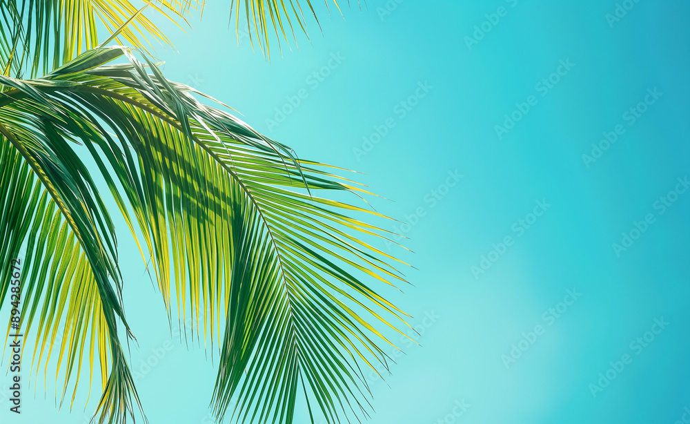 Green palm leaves against a bright blue sky. Green palm leaves against a bright blue sky.