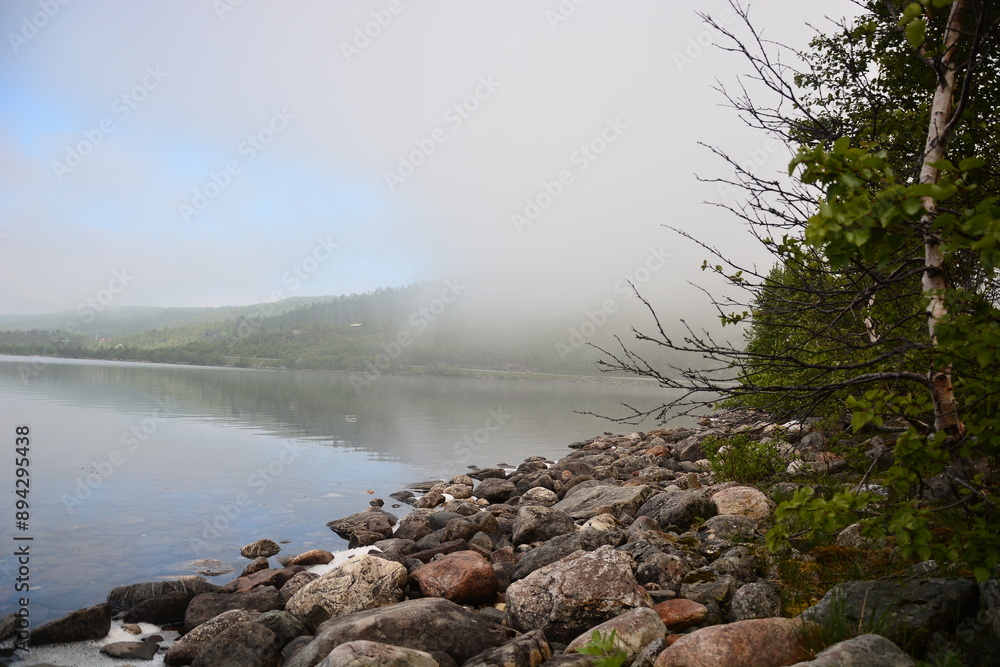 fog over the fjord, Norway fog over the fjord, Norway