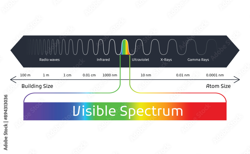 Spectrum wavelength. Visible spectrum color range. Educational physics light line. Light wave frequency. Wavelengths of the visible part of the spectrum for human eyes