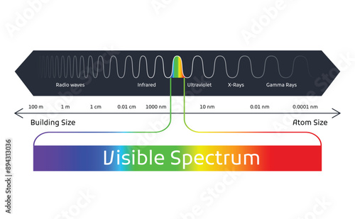 Spectrum wavelength. Visible spectrum color range. Educational physics light line. Light wave frequency. Wavelengths of the visible part of the spectrum for human eyes