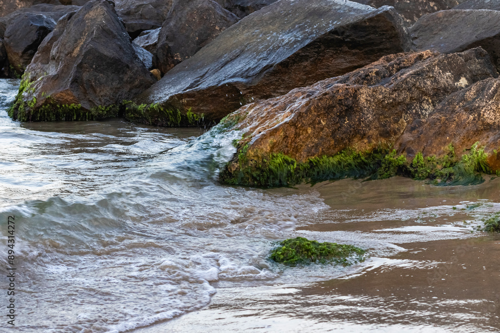 on the beach, the waves roll onto the sand, the komen are covered with algae on the beach, the waves roll onto the sand, the komen are covered with algae