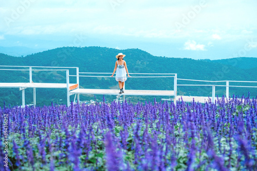 Relaxing in the tree area of Springtime Sakura Flower , Cherry Blossom Nang Phaya Sua Krong flower at , Chiang Mai, Thailand photo