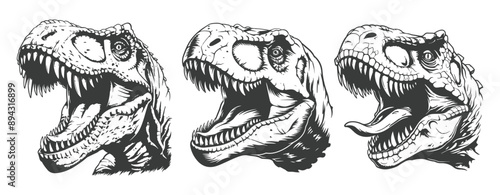 Three dinosaur heads in black and white, open mouths, teeth ,t rex head handdrawn illustration ,generative ai