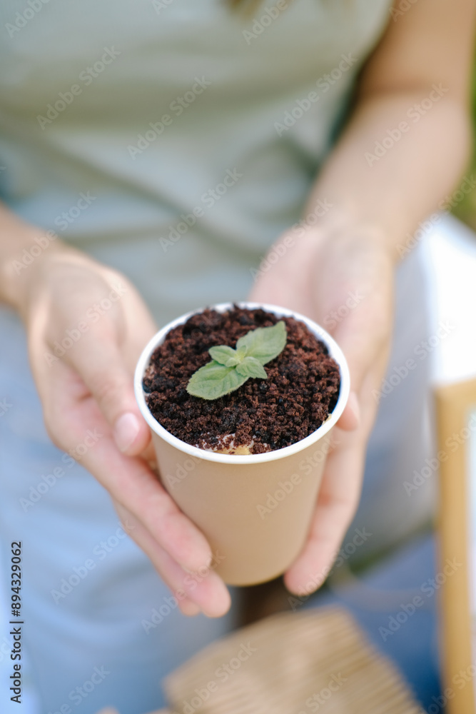 Imitation of a pot with earth and a mint leaf. Seedlings. In fact, it's a sponge dessert cake in a cup Imitation of a pot with earth and a mint leaf. Seedlings. In fact, it's a sponge dessert cake in a cup