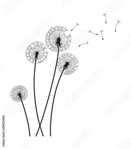 Dandelion wind blow background. Black silhouette with flying dandelion buds on white. Abstract flying seeds. Decorative graphics for printing. Floral scene design