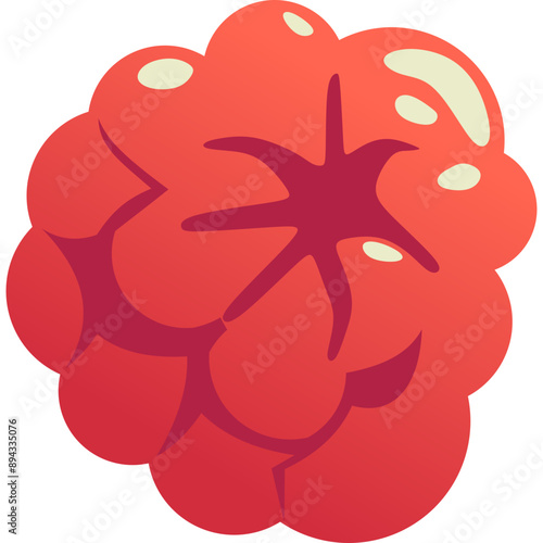Raspberry Fruit Illustration