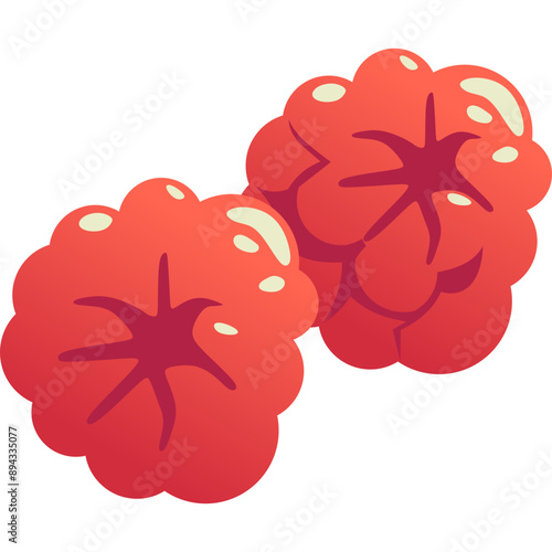 Raspberry Fruit Illustration