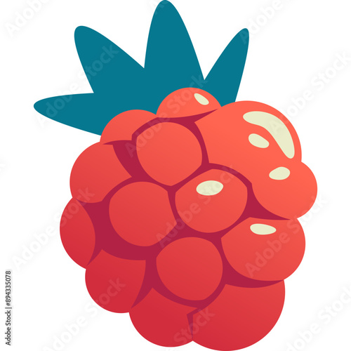 Raspberry Fruit Illustration