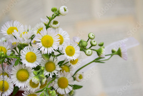 daisies in a vase