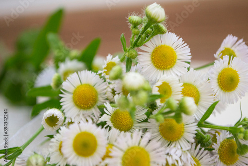 daisies in a vase