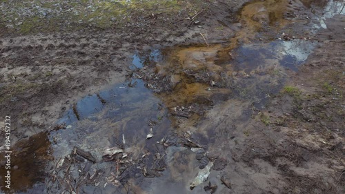 A muddy forest path is shown with tire tracks and puddles of water reflecting the blue sky. The path is covered in leaves and debris, and there is a hint of green grass emerging in the springtime