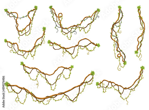 Collection of twisted wild lianas branches. Jungle vine plants. Rainforest flora and exotic botany. Woody natural branches