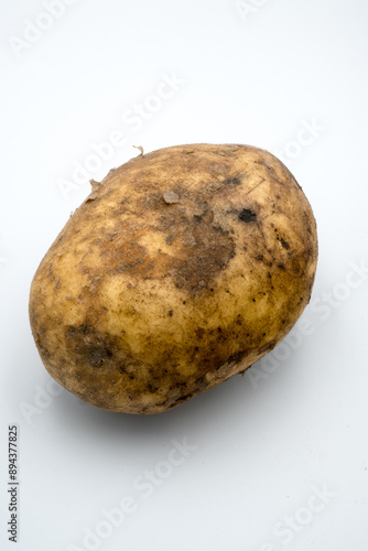 A tuber of raw potato dug out of the ground. 