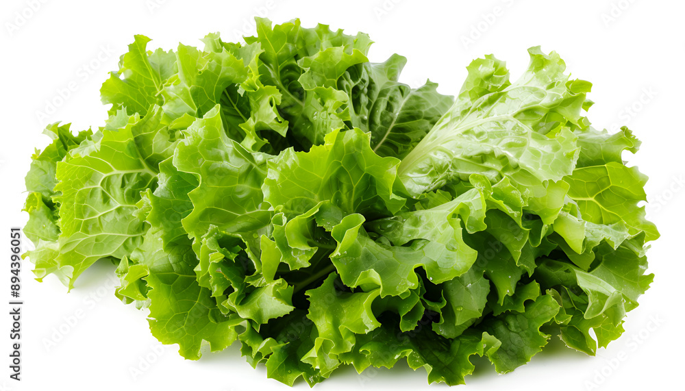 Fresh ripe cos lettuce on white background Fresh ripe cos lettuce on white background