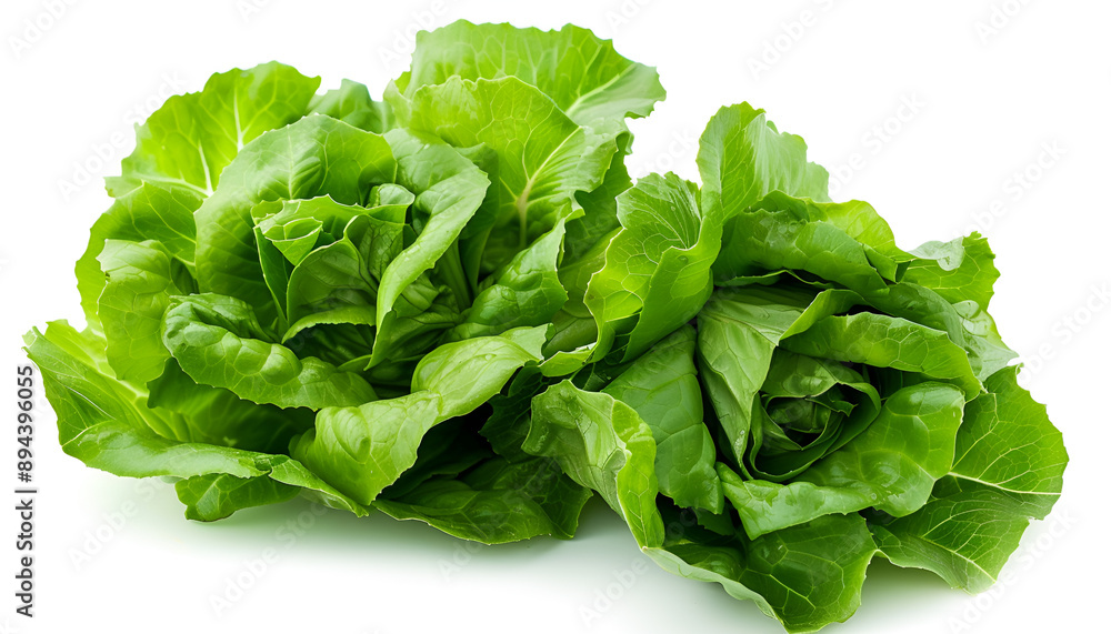 Fresh ripe cos lettuce on white background Fresh ripe cos lettuce on white background