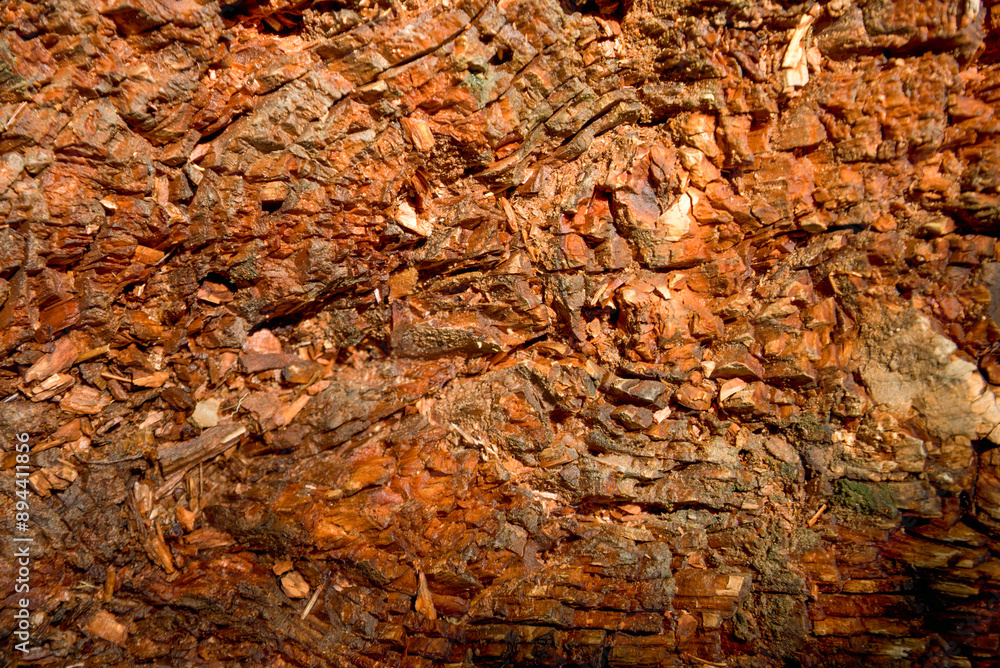 a reddish brown wood texture background