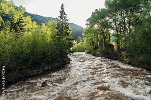 Springtime forest, hills and river at sunset.  Placerville, Colorado, United States of America.